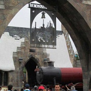 Wizarding World of Harry Potter - Universal Studios 103.jpg