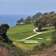 Torrey Pines Golf Course near San Diego 1146382.jpg