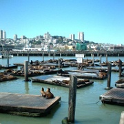 Pier 39, San Francisco 106.JPG