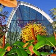 Chihuly Garden and Glass, Seattle Center 6467.jpg