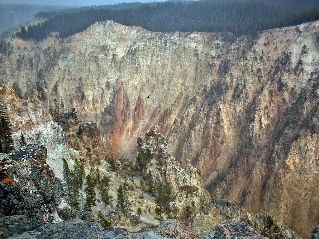 Grand Canyon of the Yellowstone 22