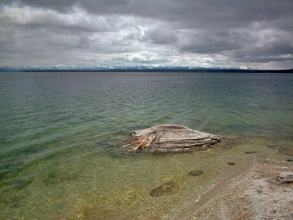 Lake Yellowstone and an old geyser 30