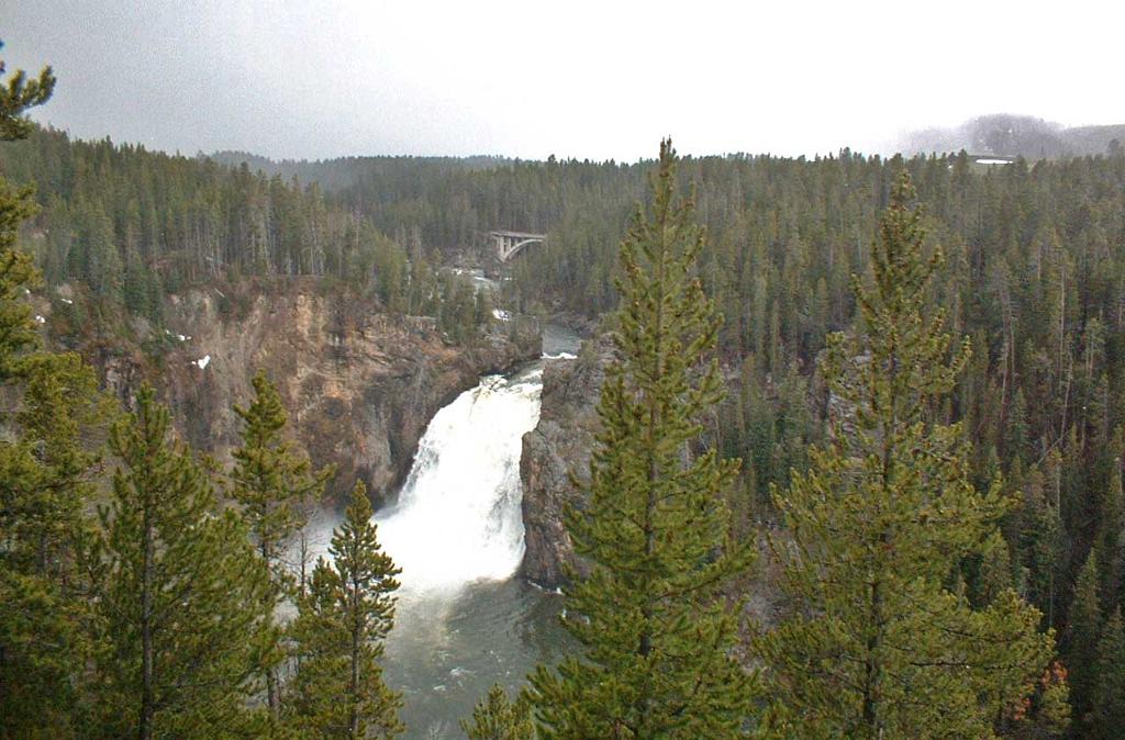 Lower Falls, Yellowstone National Park 24