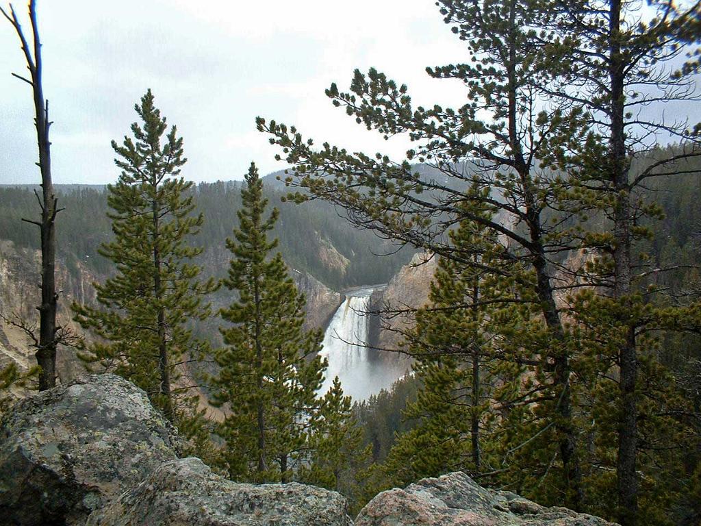 Upper Falls from North Rim, Yellowstone 20