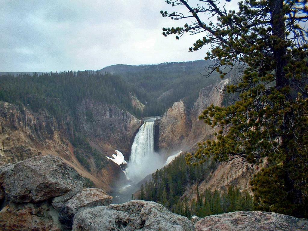 Upper Falls from North Rim, Yellowstone 21