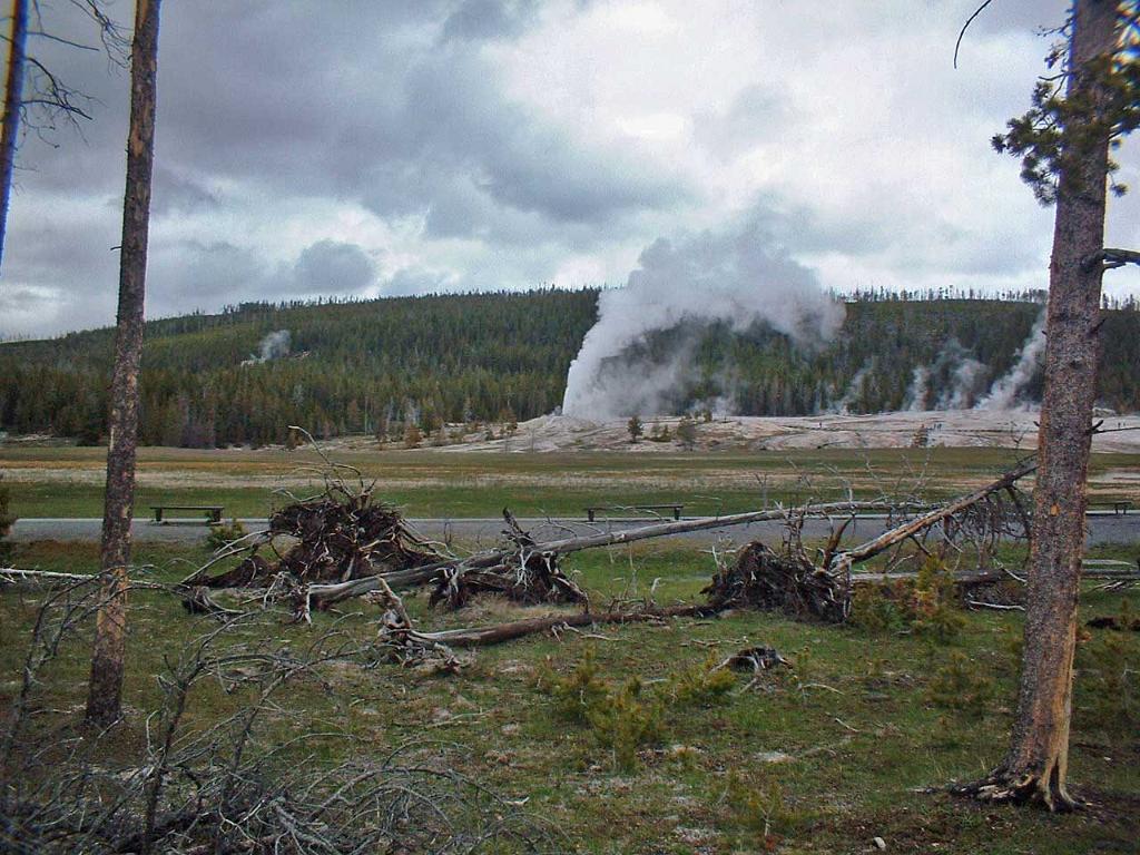 Upper Geyser Basin, Yellowstone 34