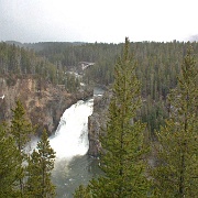 Lower Falls, Yellowstone National Park 24.jpg