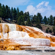 Mammoth Hot Springs, Yellowstone 11105178.jpg