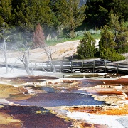 Mammoth Hot Springs, Yellowstone 9834616.jpg