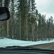 Snow in the passes, May, Yellowstone 31.jpg