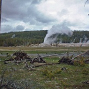 Upper Geyser Basin, Yellowstone 34.jpg