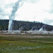 Upper Geyser Basin, Yellowstone 35.jpg