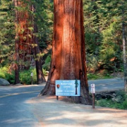 Mariposa Grove entrance, Yosemite 6277.JPG