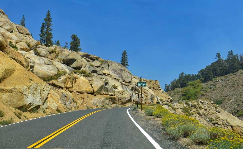 Sonora Pass, near Yosemite 6018