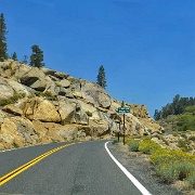 Sonora Pass, near Yosemite 6018.JPG