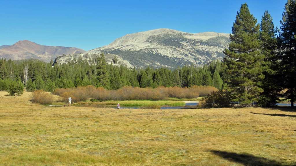 Tuolumne Meadows, Yosemite 6051