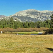 Tuolumne Meadows, Yosemite 6051.JPG