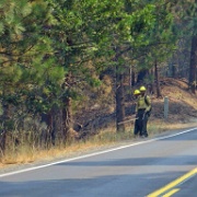 Firefighters on route 120, Big Oak flats, Rim Fire 6176.JPG