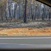 Rim Fire burns to Highway 120, no stopping 6133.JPG