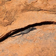 At Uluru.jpg
