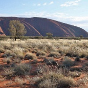 Uluru 4.jpg