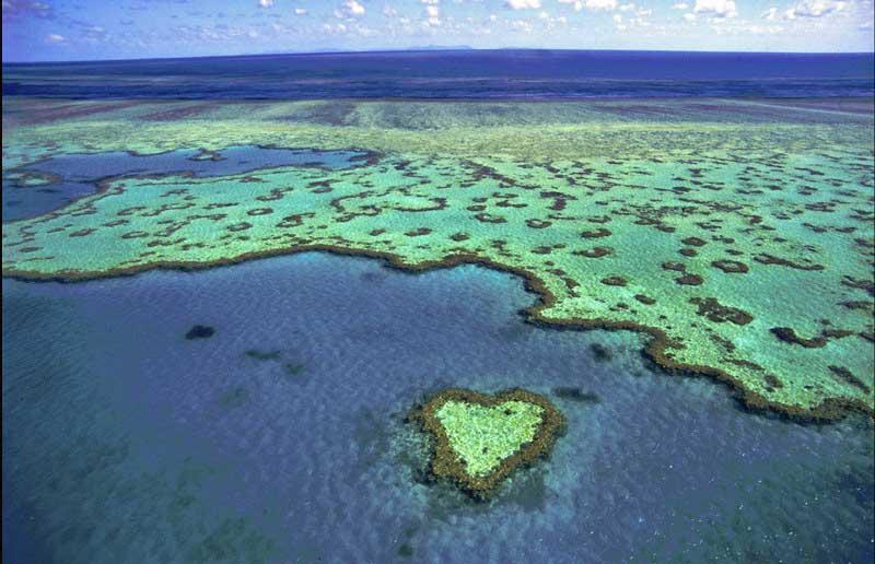 Heart Reef, Whitsundays Islands 2445187