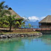 InterContinental Tahiti tropical fish lagoon 2.jpg