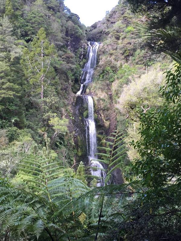 Waterfall, Waitakere Ranges