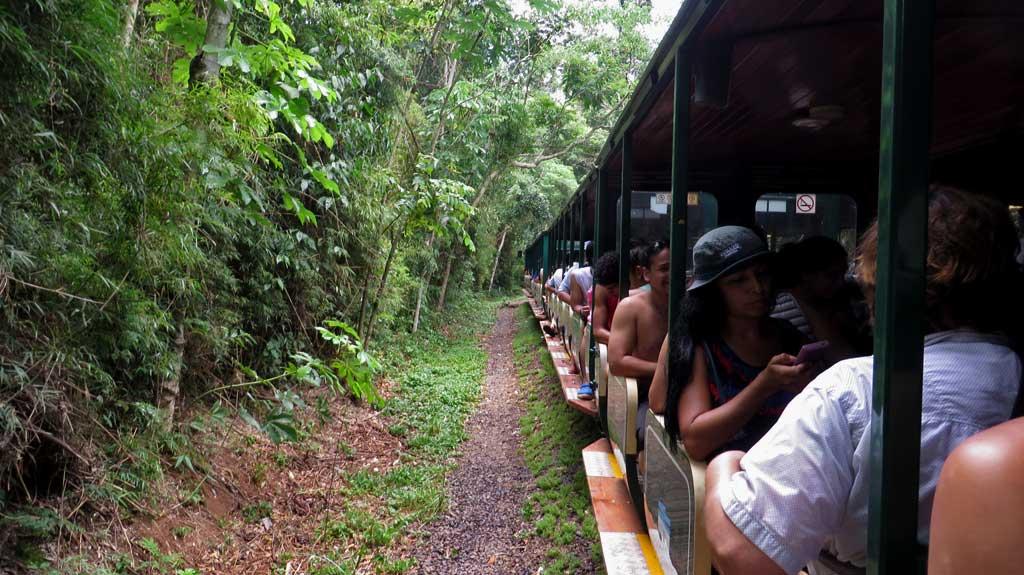 Train to Devil's Throat, Iguazu Falls 1924