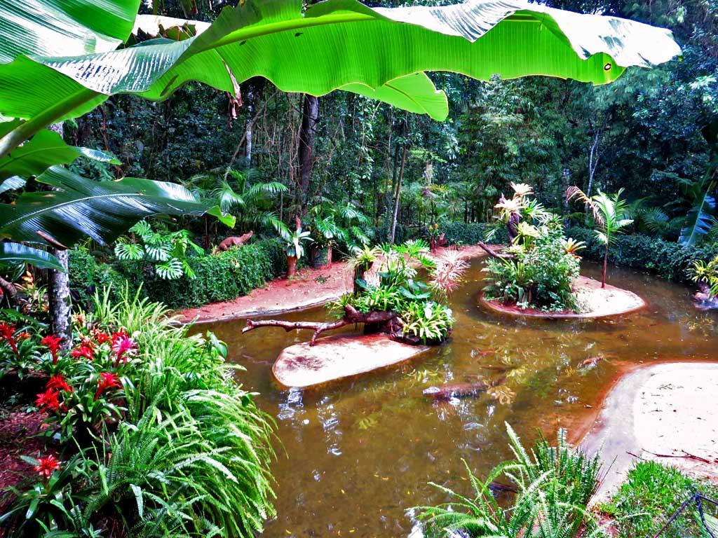 Caiman, Parque de Aves, Iguacu 2171