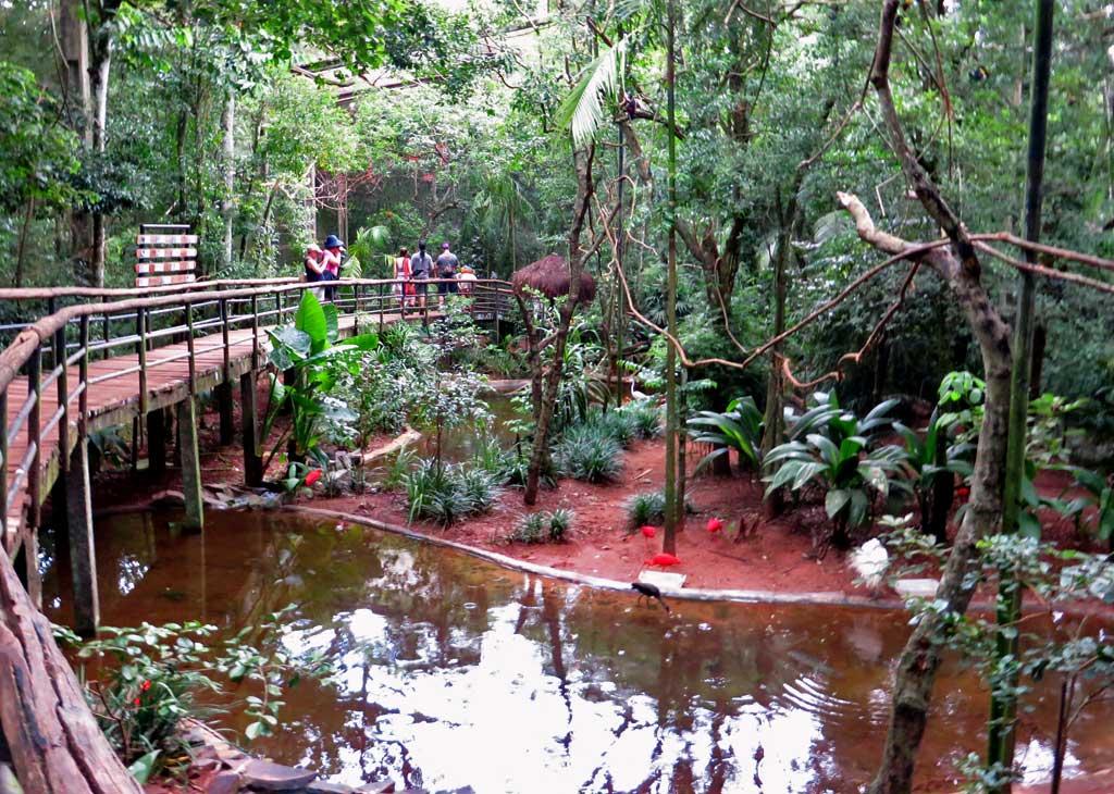 Pantanal Aviary, Parque de Aves 2163