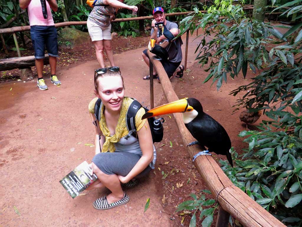 Toucans, Parque de Aves, Iguacu , Kathryn 2143