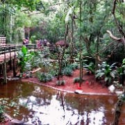 Pantanal Aviary, Parque de Aves 2163.JPG