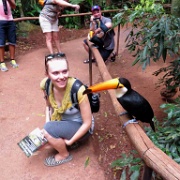 Toucans, Parque de Aves, Iguacu , Kathryn 2143.JPG