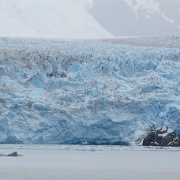 Amalia Glacier 3.jpg