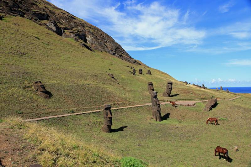Moai and wild horses, Easter Island 9288030