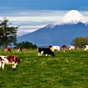 Osorno Volcano, Lake District, Chile.jpg