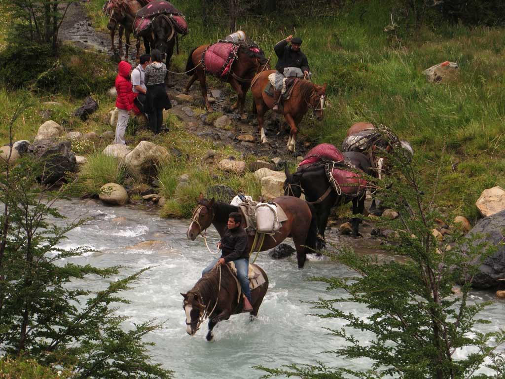 horses, Las Torres trail, Torres del Paine 0803