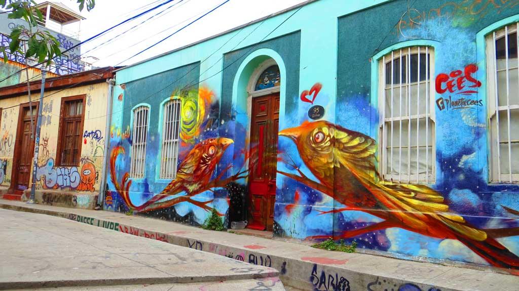 Valparaiso graffiti, Chile 906