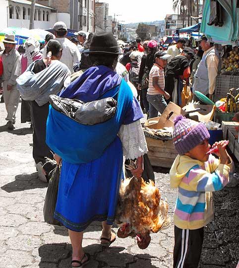 Live chickens for market, Quito 07