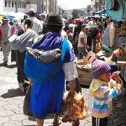 Live chickens for market, Quito 07.jpg
