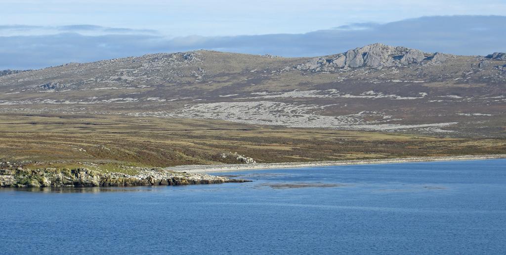 Desolate landscape of the Falklands