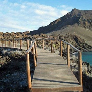 Bartolome, Galapagos 126.jpg