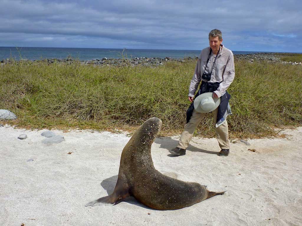 Galapagos sea lion, North Seymour, Tim 217