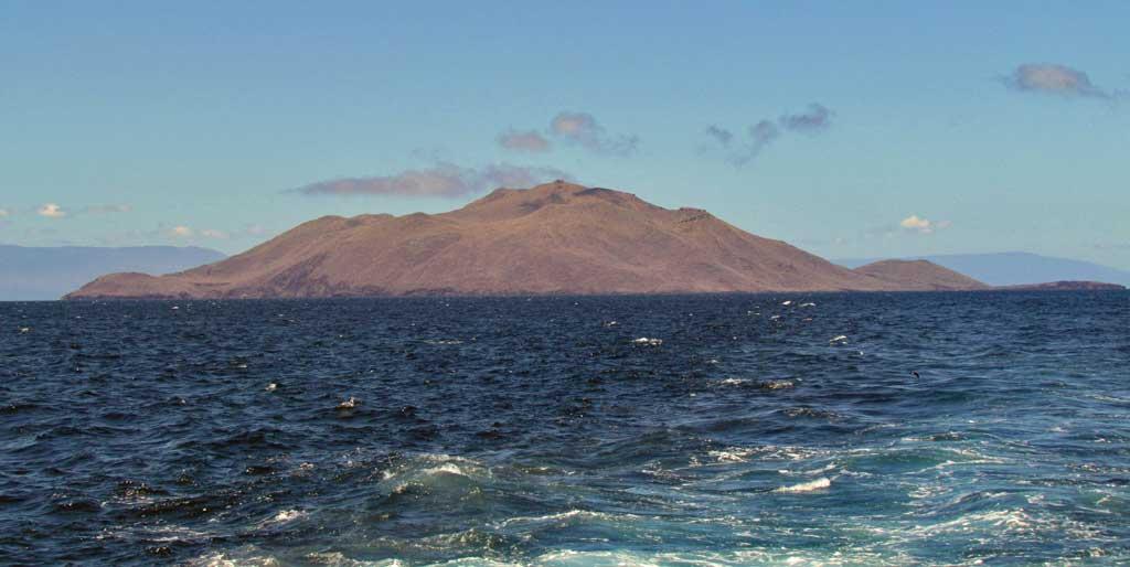 Rabida Island, Galapagos 103