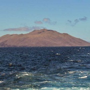 Rabida Island, Galapagos 103.jpg