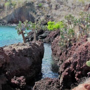 Rabida Island, Galapagos 105.jpg