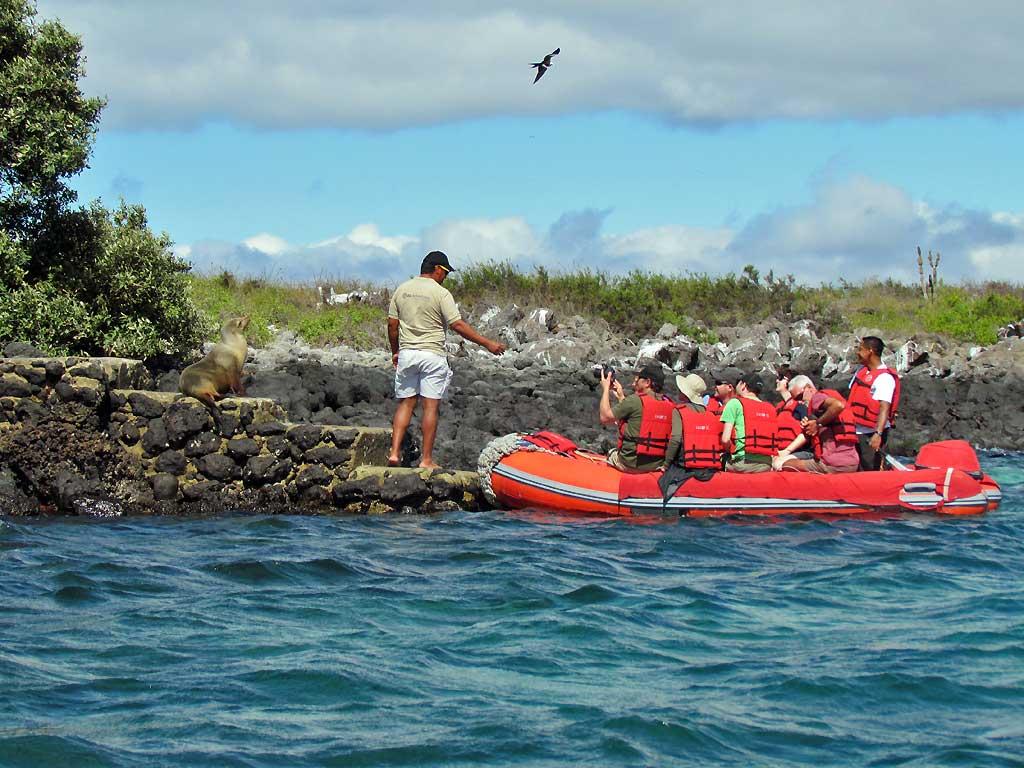 Sea lions blocking the path, Isla Lobos by San Cristobal 103