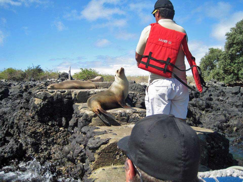 Sea lions blocking the path, Isla Lobos by San Cristobal 208