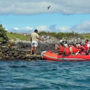 Sea lions blocking the path, Isla Lobos by San Cristobal 103.jpg